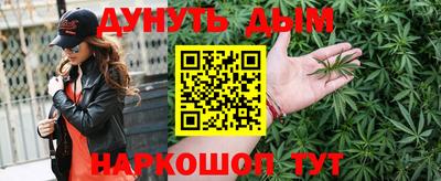 Альфа ПВП Можга