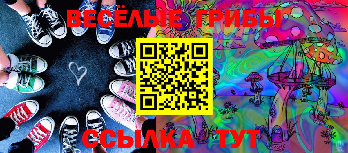 Усть-Джегута  Псилоцибиновые грибы Magic Shrooms  Вход с VPN  Псилоцибиновые грибы MAGIC MUSHROOMS 